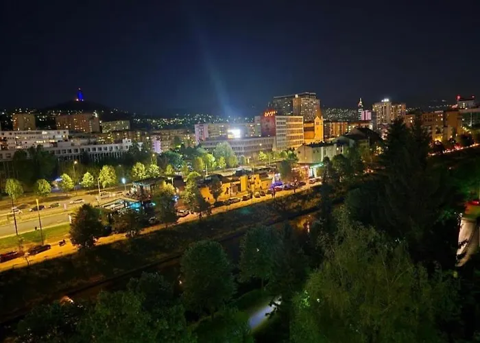 Novi