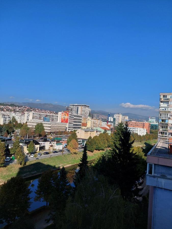 Apartment Novi *